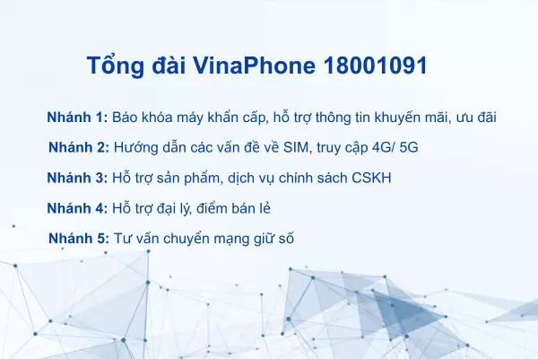 nhanh_tong_dai_vinaphone