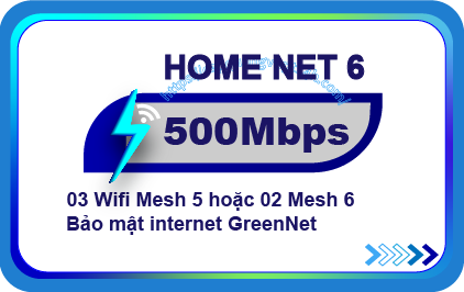 Internet Home Net 6