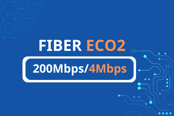 Cáp quang VNPT Fiber Eco 2